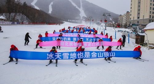 生活报网