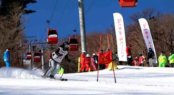 亚布力,感受企业家不一样的滑雪之 道