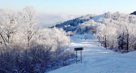 亚布力阳光国际滑雪场冬令营招募令!
