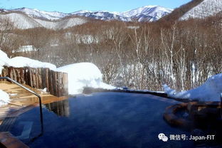 日本冬季旅游的最高境界,是找到一处温泉与白雪相依相爱的所在
