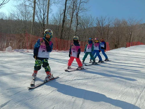 亚布力阳光度假村第六期冬令营完美落幕丨2月27日与你不见不散