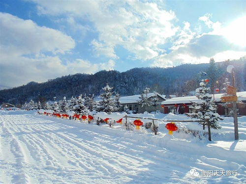哈尔滨 亚布力滑雪 童话雪乡 东升雪谷徒步穿越 吉林雾凇岛 大连6日游