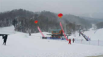 黑龙江雪乡亚布力2日1夜纯玩之旅 尽享冬日冰雪奇缘