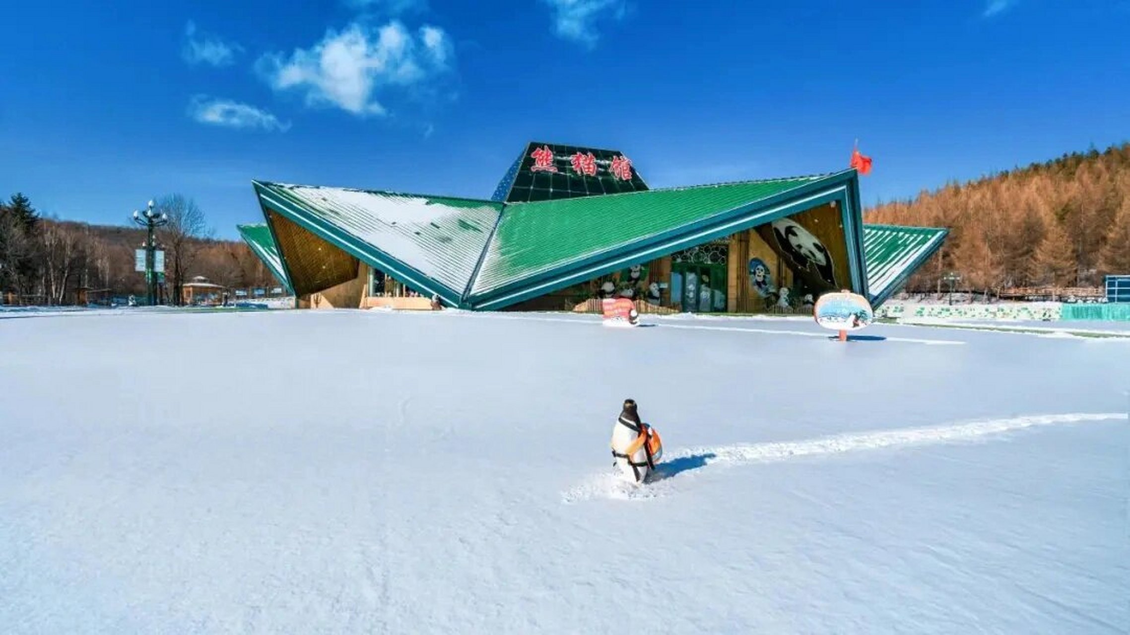 亚布力滑雪度假村 中国滑雪胜地中的璀璨明珠