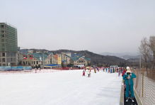 亚布力滑雪场深度解析 哪家最值得体验？