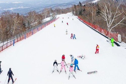 亚布力春节假期滑雪深度游客量全国第一 冰雪盛宴背后的魅力与启示