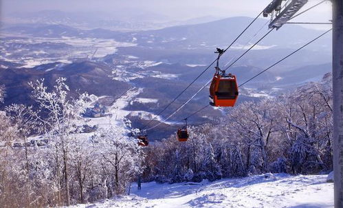 亚布力滑雪度假村诺如病毒感染事件 食品安全警钟再次敲响